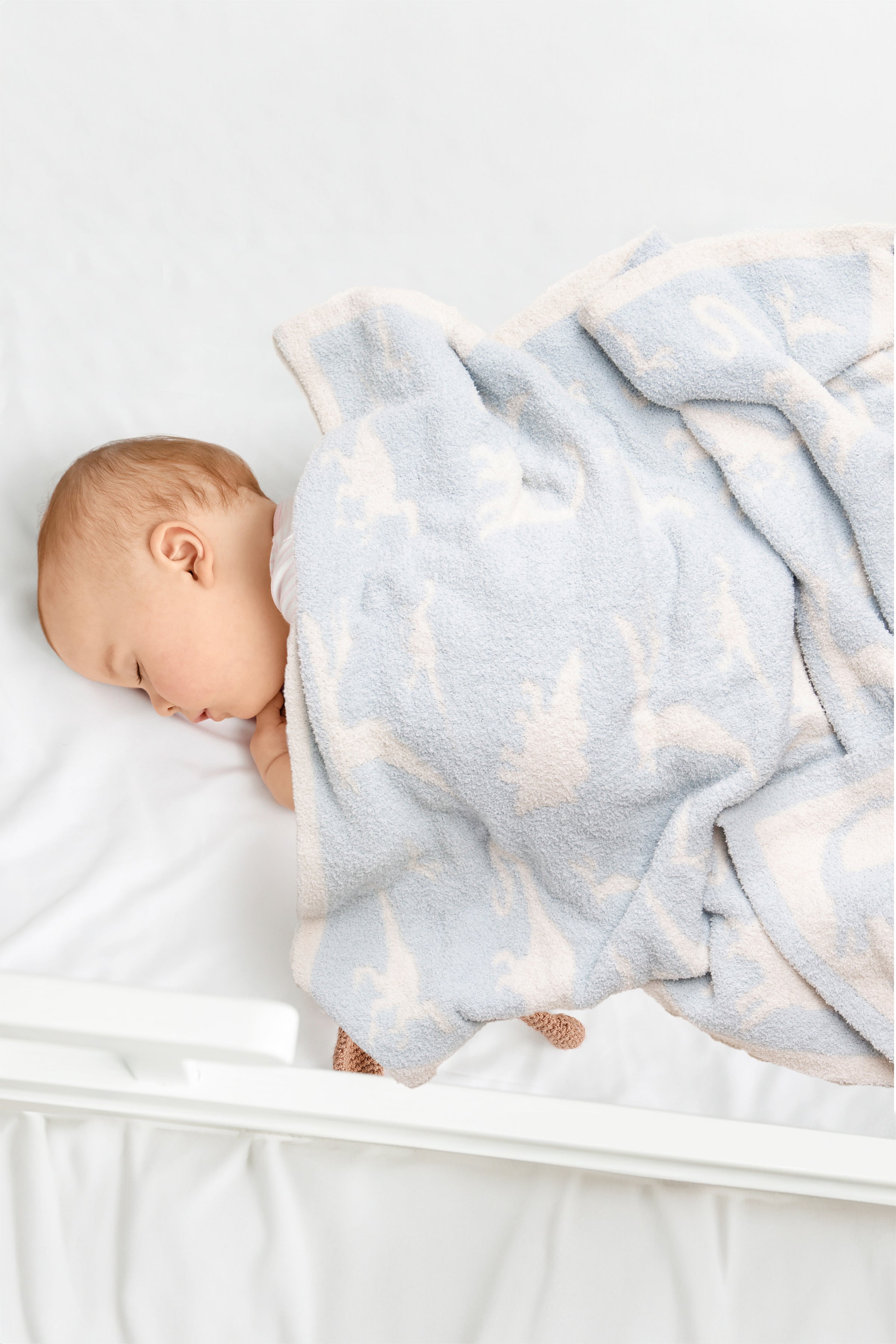 mySundaze Dinosaur Print Small Throw Blanket Soft Microfiber 29x35