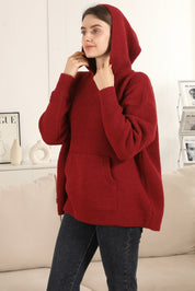 mySundaze Solid Microfiber Hooded Sweater